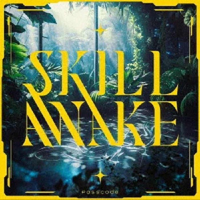 PASSCODE - Skillawake