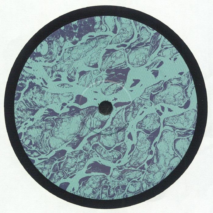 未開封 Evidence / Weather Or Not 2LP レコード EVIDENCE