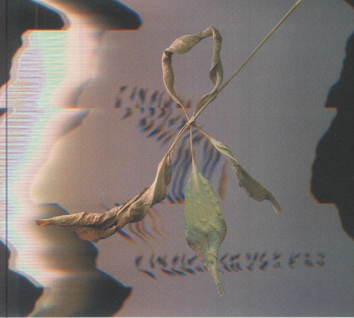 GOWDY, T - Trill Scan