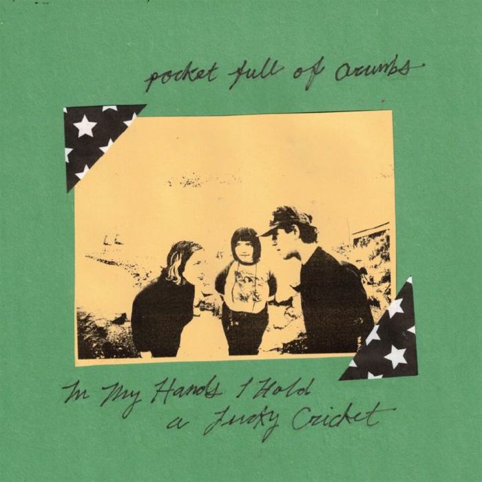 POCKET FULL OF CRUMBS - In My Hands I Hold A Lucky Cricket