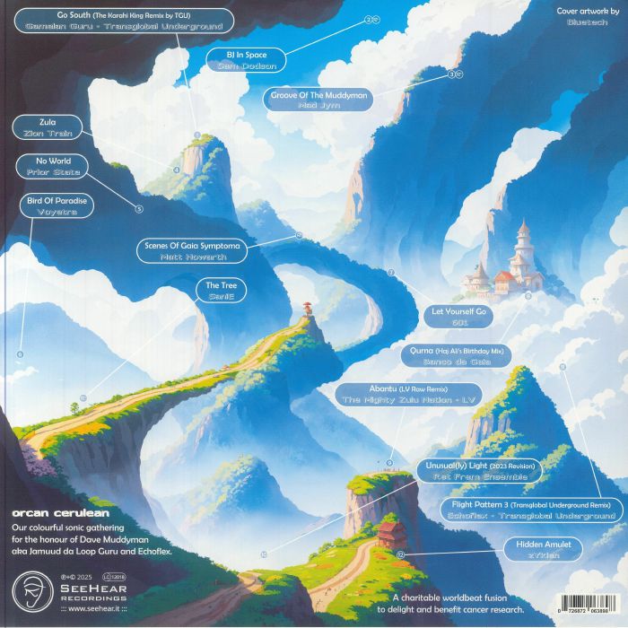 VARIOUS - Orcan Cerulean Vinyl at Juno Records.
