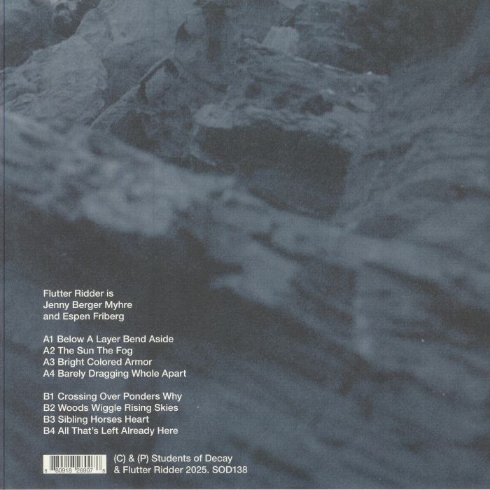 FLUTTER RIDDER - Flutter Ridder