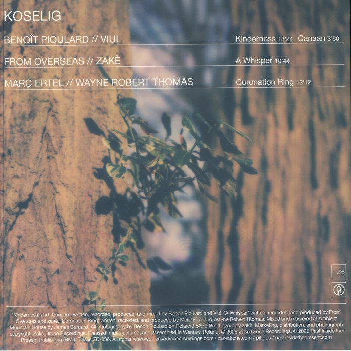 PIOULARD, Benoit/VIUL/FROM OVERSEAS/ZAKE/MARC ERTEL/WAYNE ROBERT THOMAS - Koselig