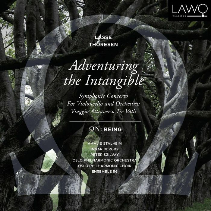 THORESEN, Lasse/VARIOUS - Adventuring The Intangible