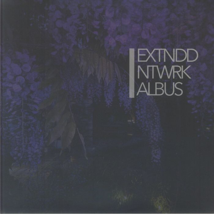 Extnddntwrk – Albus vinyl cover