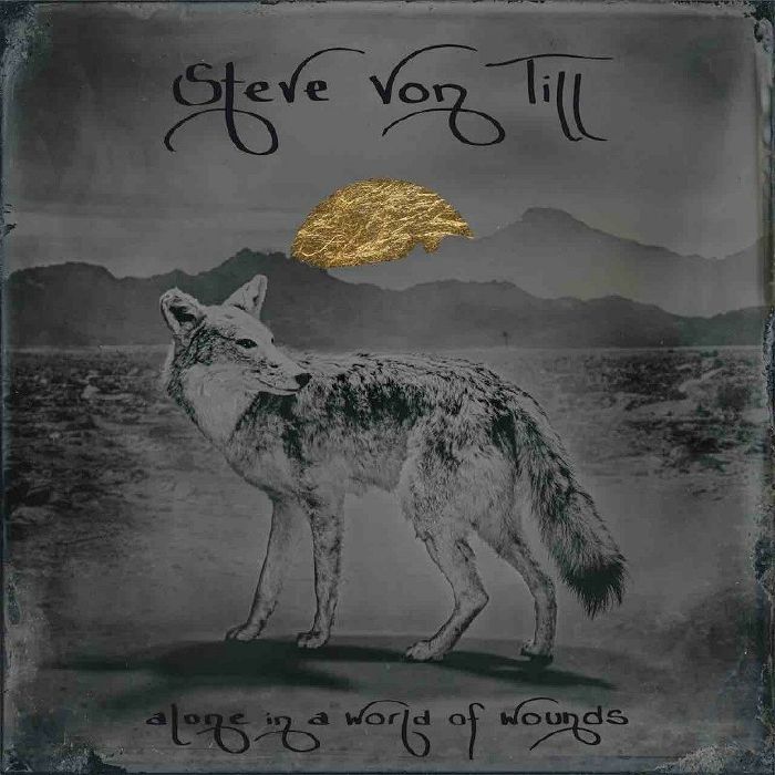 VON TILL, Steve - Alone In A World Of Wounds