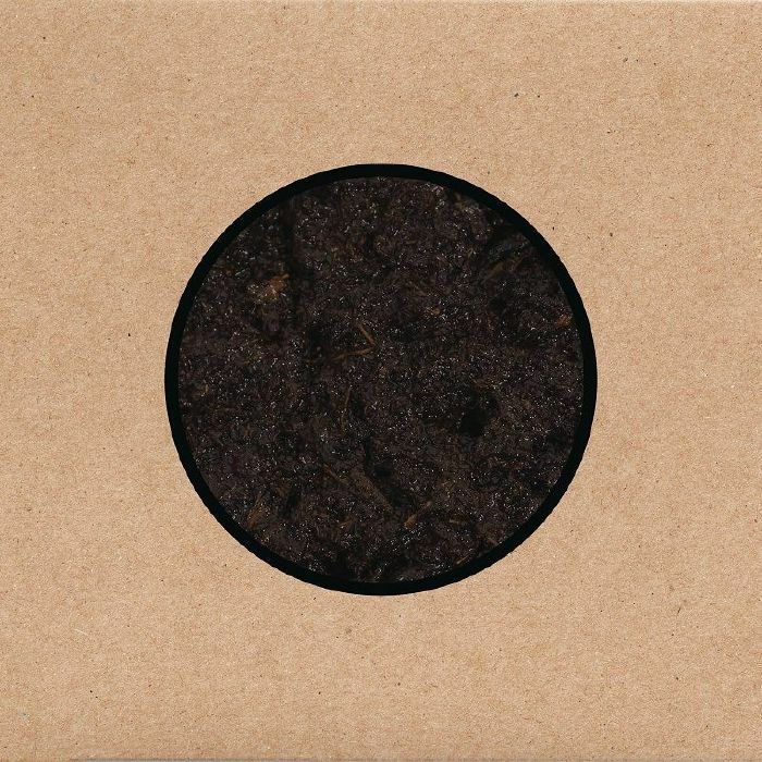 SWANS - Birthing
