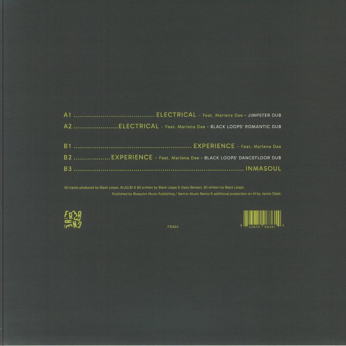 BLACK LOOPS - Experience EP