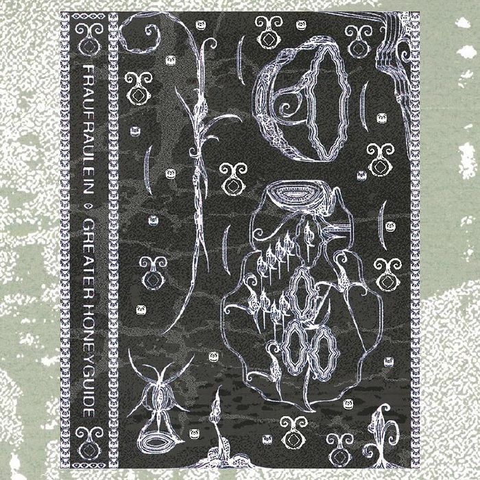 FRAUFRAULEIN - Greater Honeyguide
