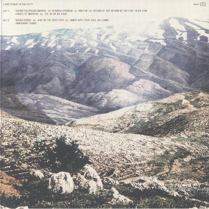 DEERHOOF - Noble & Godlike In Ruin