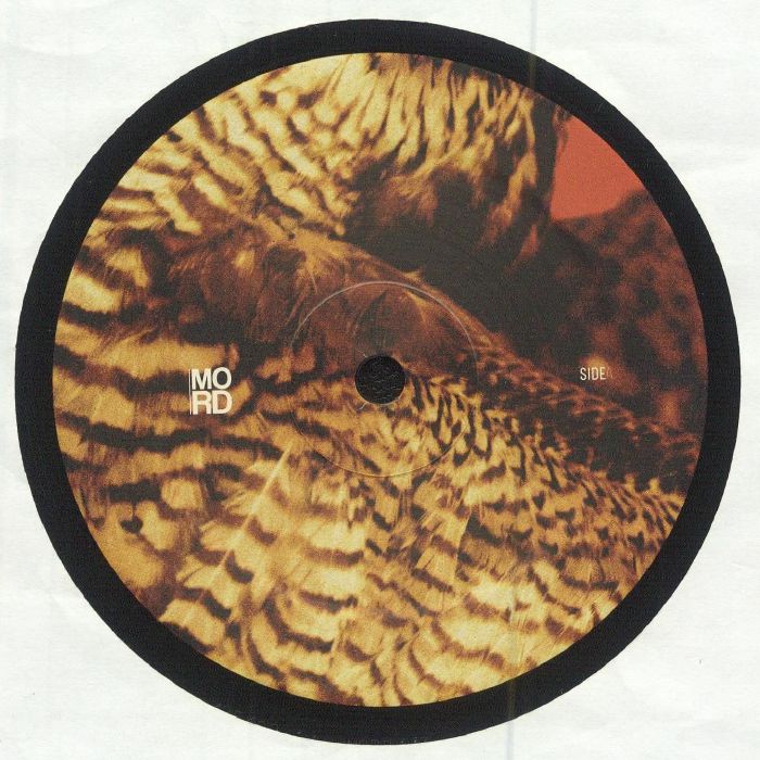 AMORPHIC/TENSAL - Highland Frequencies EP