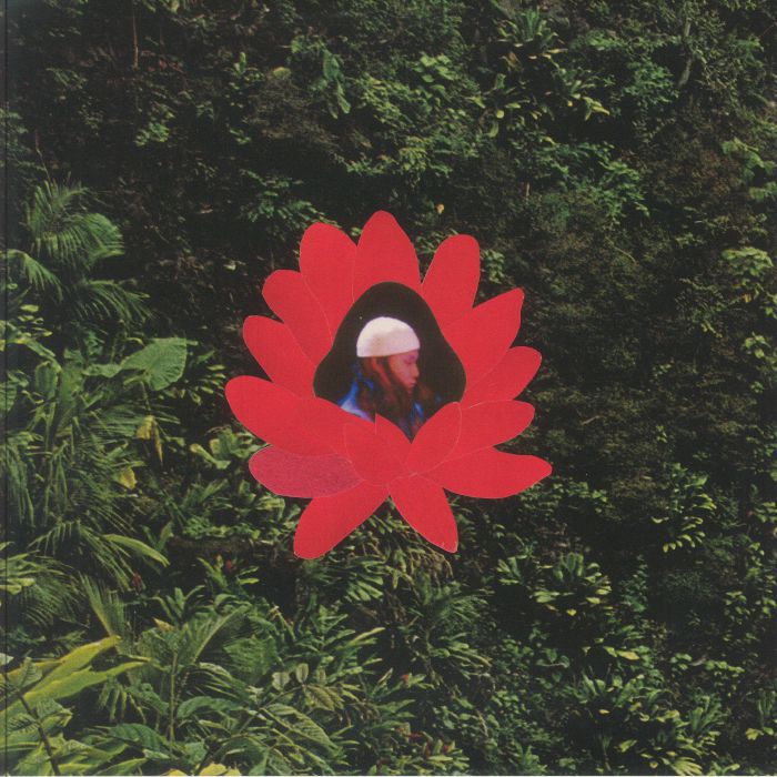 Lionmilk – When The Flowers Bloom vinyl cover
