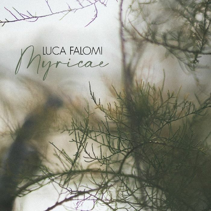 FALOMI, Luca - Myricae