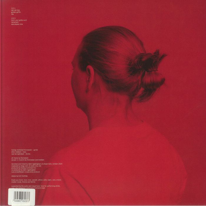 HEDVIG MOLLESTAD TRIO - Bees In The Bonnet