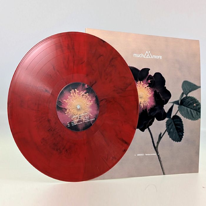 ASTRUP, Johannes/BOOZ/TEMUDO & SVAROG/THE GAMBLER/AUDIOKAST/TORN - MM 003