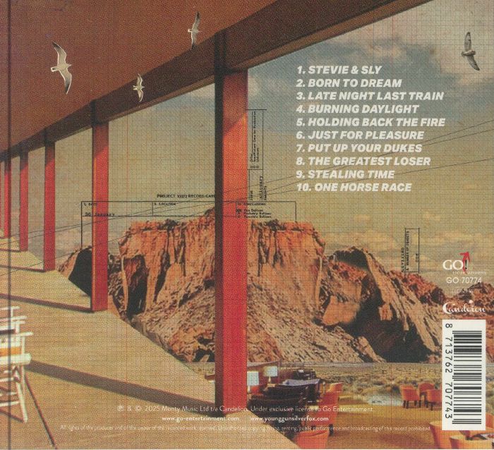 YOUNG GUN SILVER FOX - Pleasure