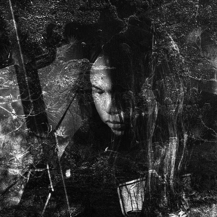 THISQUIETARMY - Langue Hybride