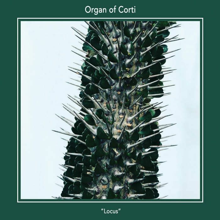 ORGAN OF CORTI - Locus