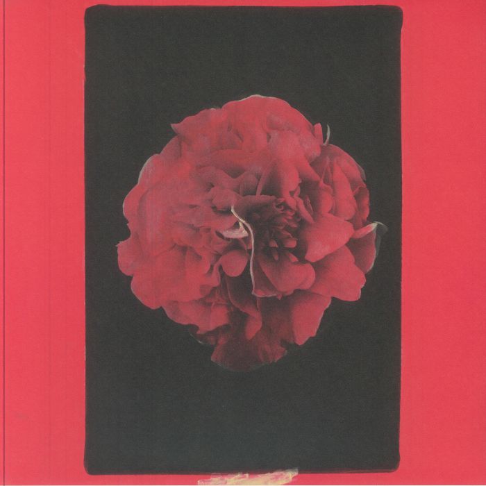 ACTIVITY - A Thousand Years In Another Way