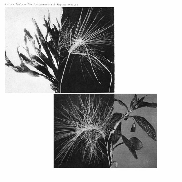 PEKLER, Andrew - New Environments & Rhythm Studies