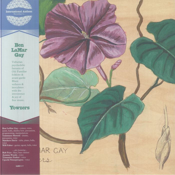 Ben Lamar Gay – Yowzers vinyl cover