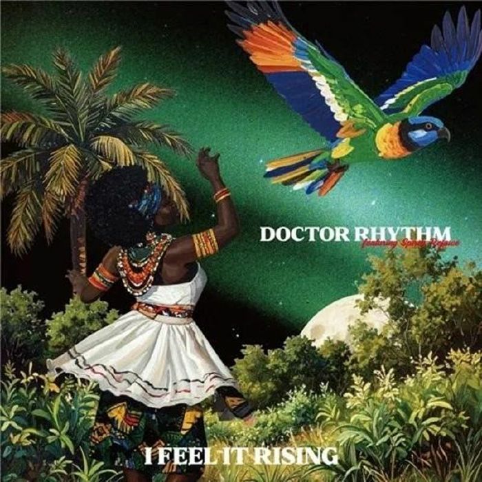 DOCTOR RHYTHM - I Feel It Rising