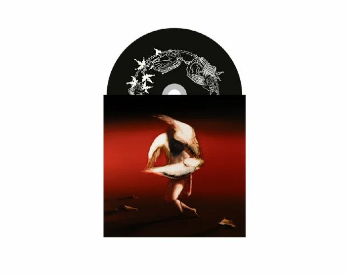 MARUJA - Pain To Power