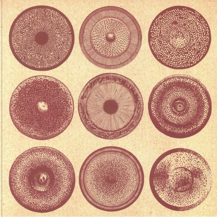 Ensemble Nist Nah – Spilla vinyl cover