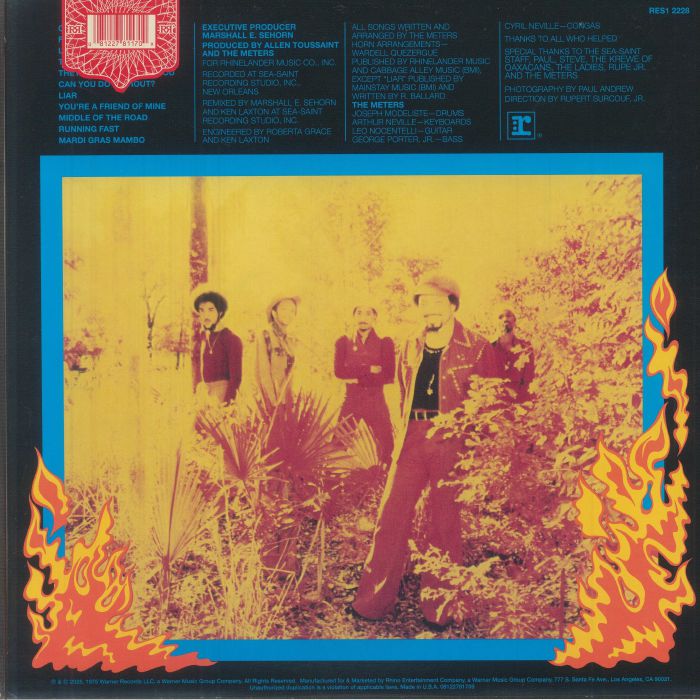 METERS, The - Fire On The Bayou (Rhino Reserve)