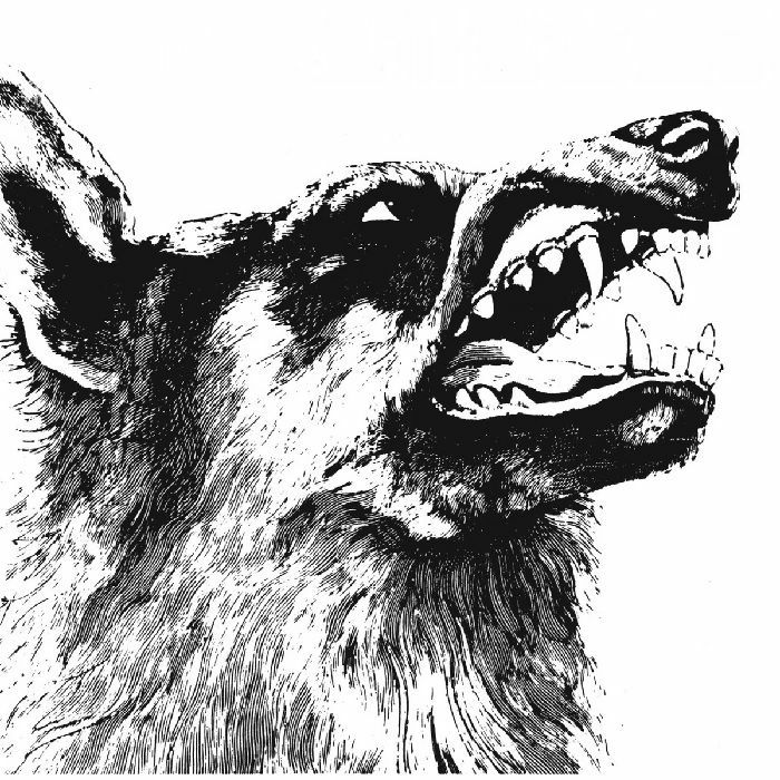 CRIPPLED BLACK PHOENIX - I Vigilante (reissue)