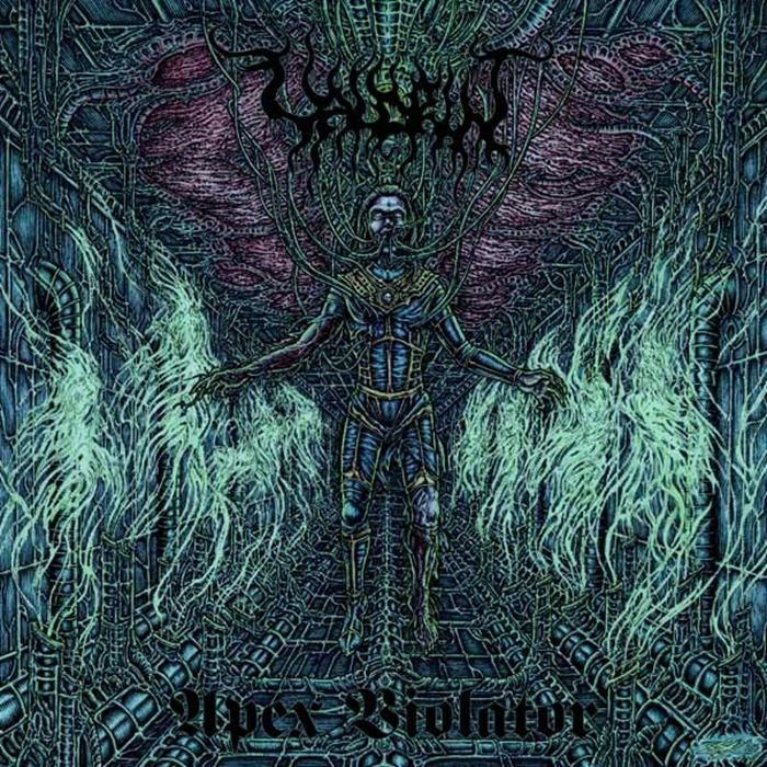 VALDRIN - Apex Violator