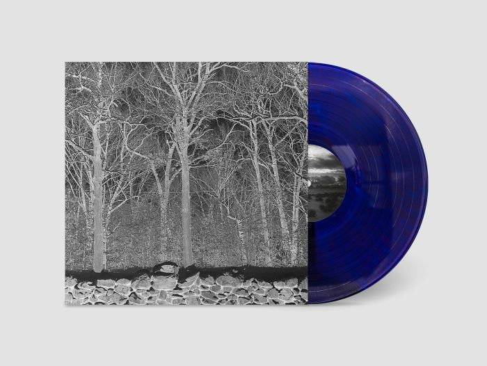 Pile – Sunshine & Balance Beams vinyl cover