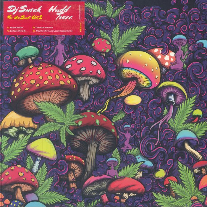 DJ Sneak – For The Soul Vol 2 vinyl cover