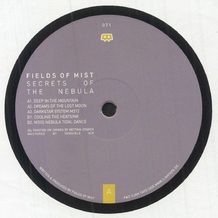 Fields Of Mist – Secrets Of The Nebula vinyl cover