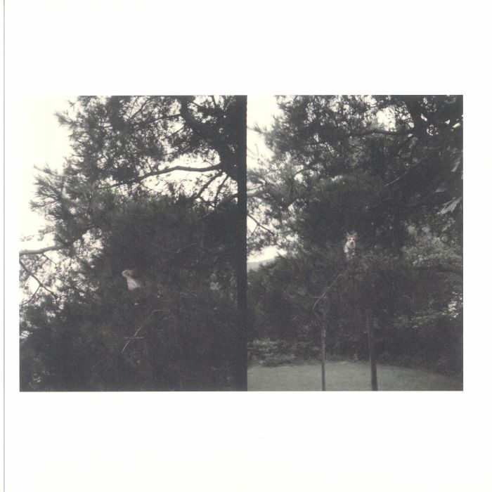 Okkyung Lee – Just Like Any Other Day: Background Music For Your Mundane Activities vinyl cover