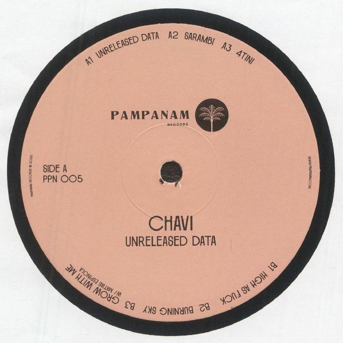 Chavi – Unreleased Data vinyl cover