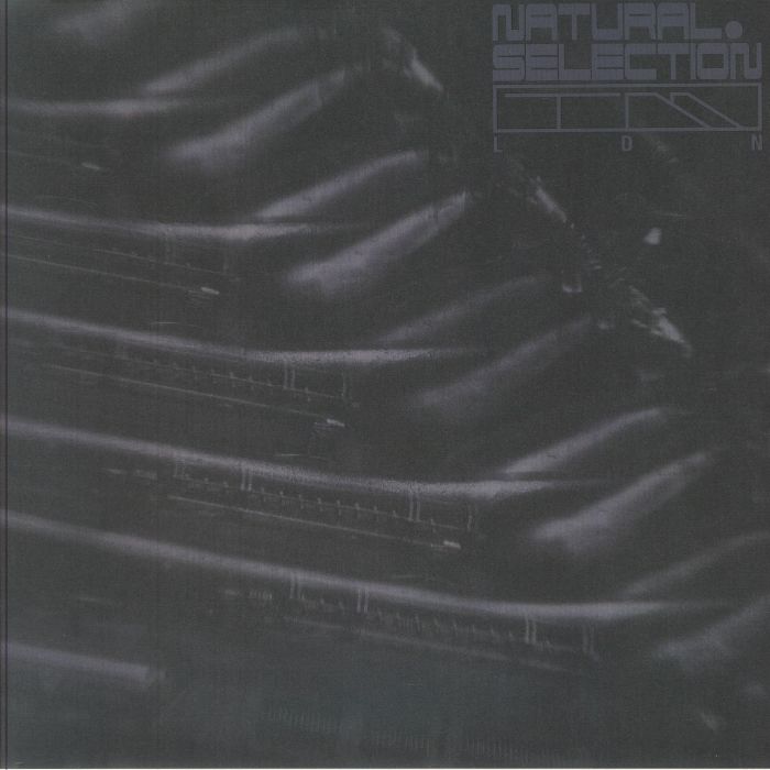 Swarm Intelligence – Radiance EP vinyl cover