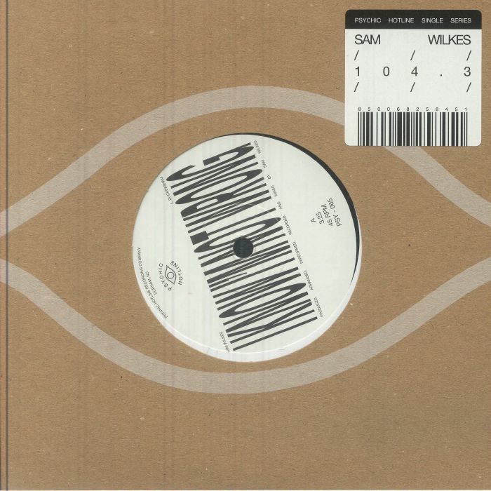 Sam Wilkes – 104 3 vinyl cover