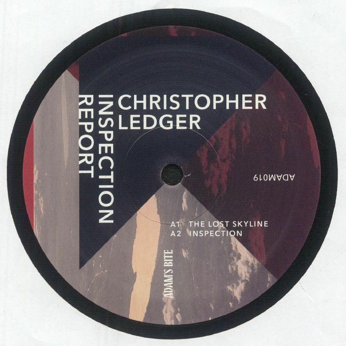 Christopher Ledger – Inspection Report vinyl cover
