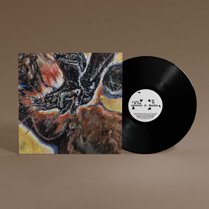 Shungu – Faith In The Unknown vinyl cover