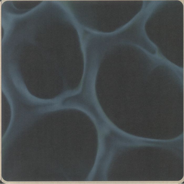 Blndr – Radiolaria vinyl cover