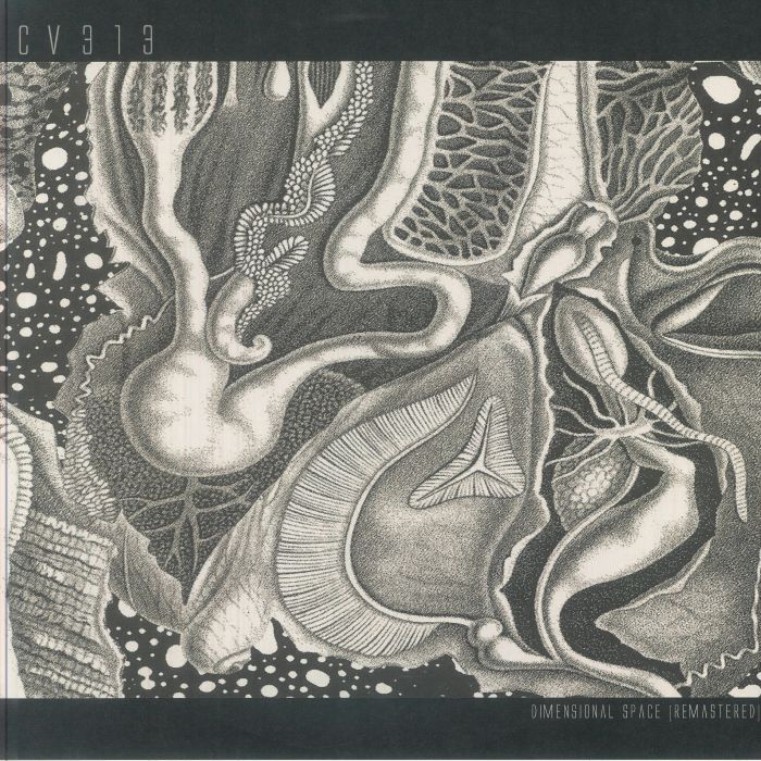 Cv313 – Dimensional Space vinyl cover