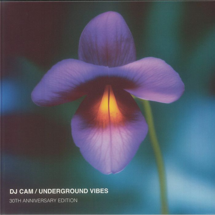 (USED)DJ CAM UNDERGROUND VIBES アナログレコード DJ CAM - Underground Vibes (30th Anniversary Edition) Vinyl at
