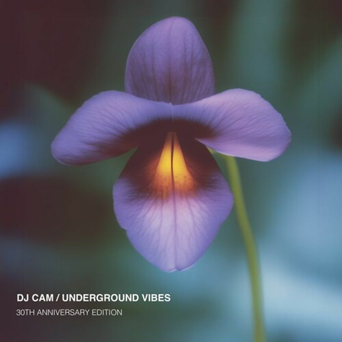 DJ CAM - Underground Vibes (30th Anniversary Edition) Vinyl