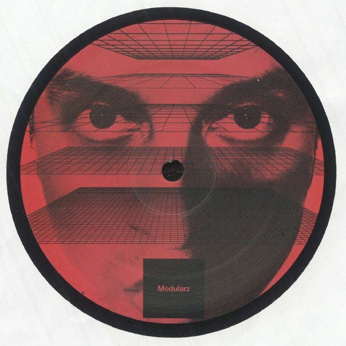 Developer – Mesmeric Movements vinyl cover