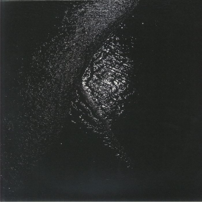 Gigi Masin – Implodendo In Una Accecante Oscurita Part 2 vinyl cover