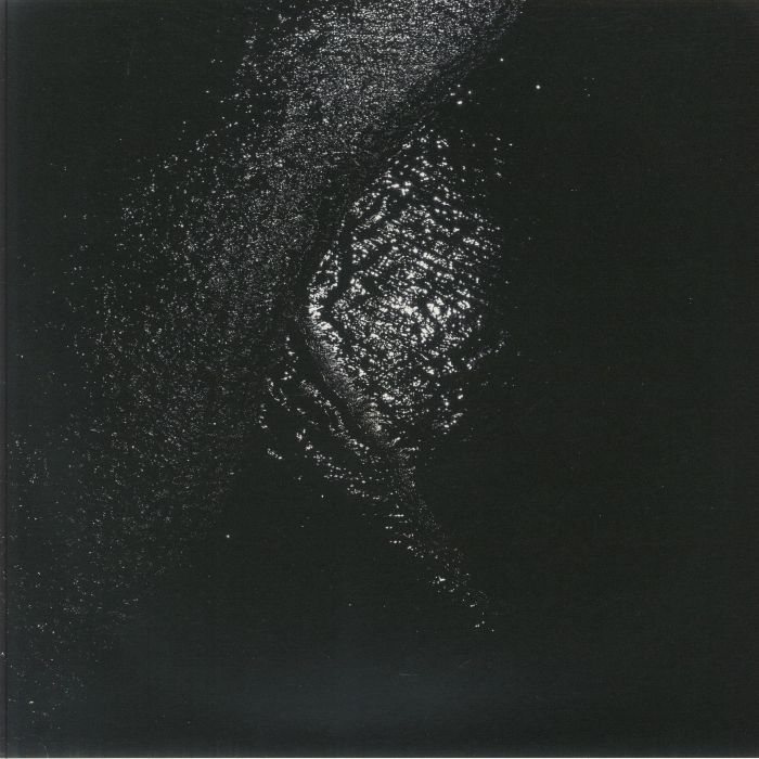 Gigi Masin – Implodendo In Una Accecante Oscurita: Part 2 vinyl cover