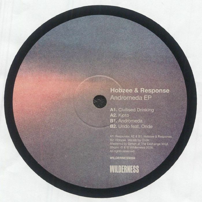 Hobzee | Response – Andromeda EP vinyl cover