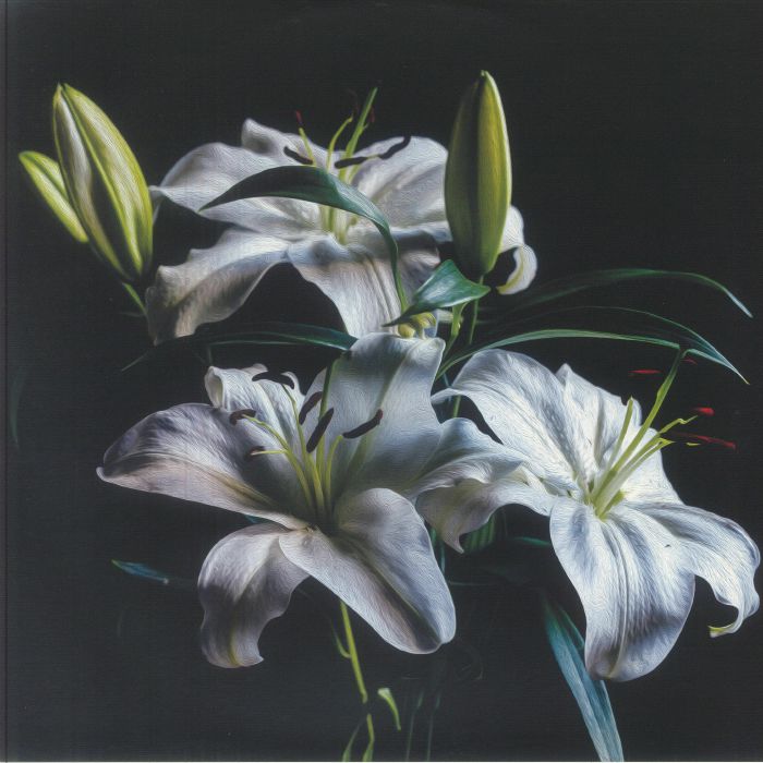 Lakej | Vsk | Ksenia Kamikaza | Liza Aikin | Igors Vorobjovs – Random Chapters vinyl cover