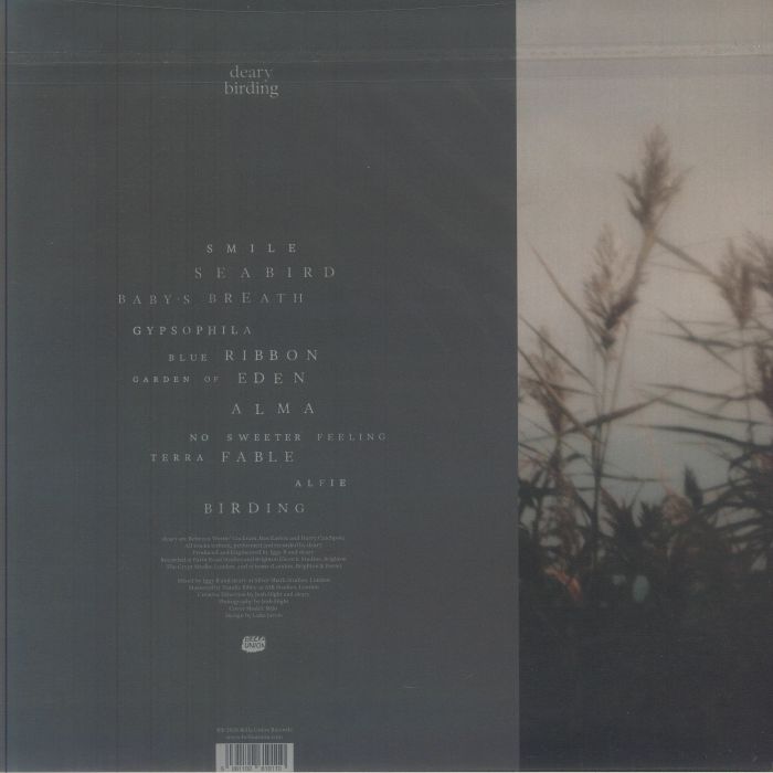 DEARY - Birding Vinyl at Juno Records.